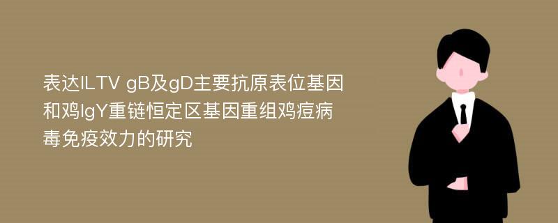 表达ILTV gB及gD主要抗原表位基因和鸡IgY重链恒定区基因重组鸡痘病毒免疫效力的研究