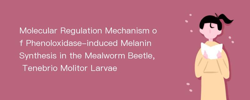 Molecular Regulation Mechanism of Phenoloxidase-induced Melanin Synthesis in the Mealworm Beetle, Tenebrio Molitor Larvae