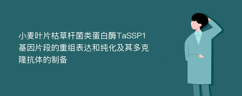 小麦叶片枯草杆菌类蛋白酶TaSSP1基因片段的重组表达和纯化及其多克隆抗体的制备