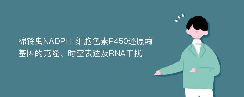 棉铃虫NADPH-细胞色素P450还原酶基因的克隆、时空表达及RNA干扰