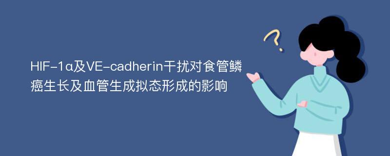 HIF-1α及VE-cadherin干扰对食管鳞癌生长及血管生成拟态形成的影响