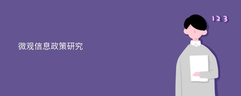 微观信息政策研究