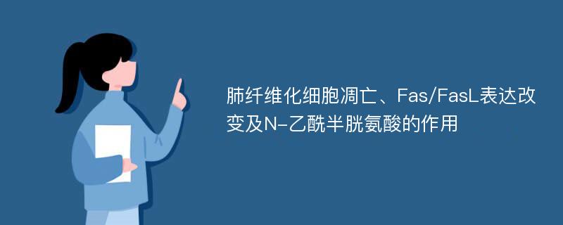 肺纤维化细胞凋亡、Fas/FasL表达改变及N-乙酰半胱氨酸的作用