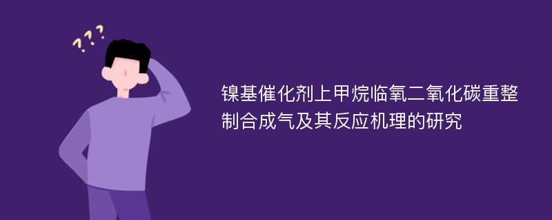 镍基催化剂上甲烷临氧二氧化碳重整制合成气及其反应机理的研究