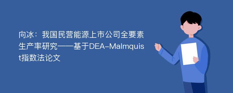 向冰：我国民营能源上市公司全要素生产率研究——基于DEA-Malmquist指数法论文