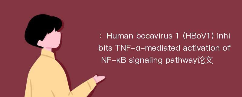 ：Human bocavirus 1 (HBoV1) inhibits TNF-α-mediated activation of NF-κB signaling pathway论文