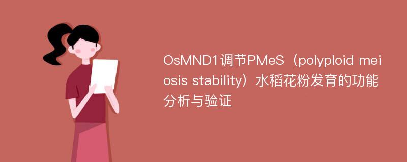 OsMND1调节PMeS（polyploid meiosis stability）水稻花粉发育的功能分析与验证