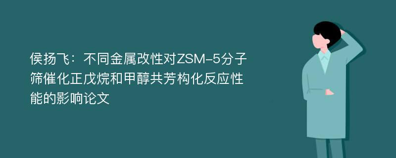 侯扬飞：不同金属改性对ZSM-5分子筛催化正戊烷和甲醇共芳构化反应性能的影响论文