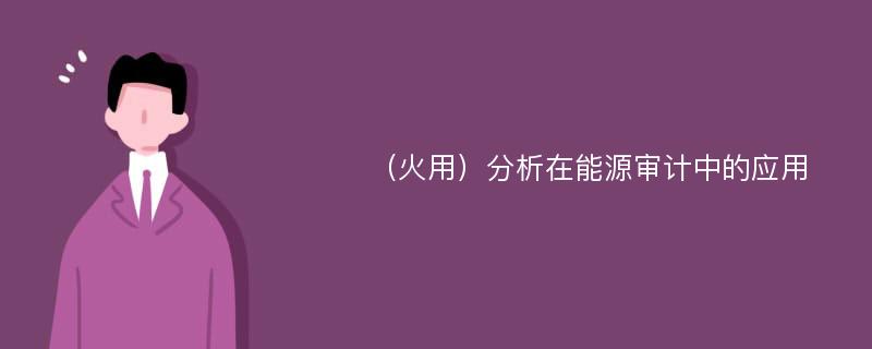 （火用）分析在能源审计中的应用