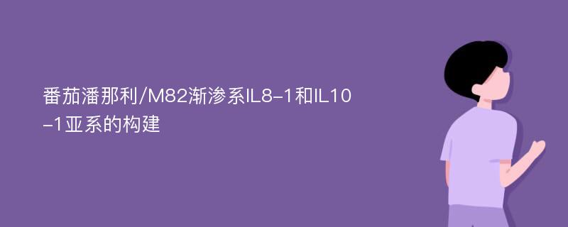 番茄潘那利/M82渐渗系IL8-1和IL10-1亚系的构建