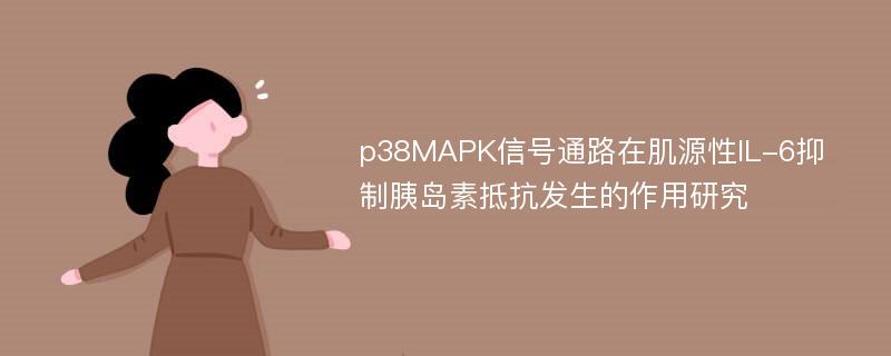 p38MAPK信号通路在肌源性IL-6抑制胰岛素抵抗发生的作用研究