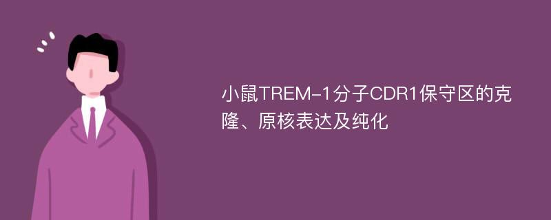 小鼠TREM-1分子CDR1保守区的克隆、原核表达及纯化