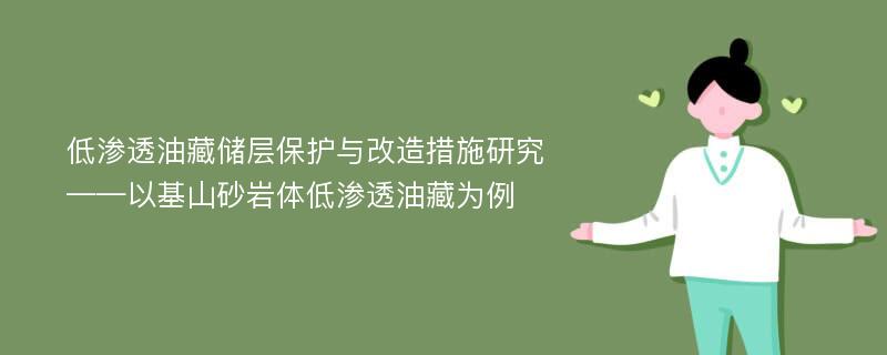 低渗透油藏储层保护与改造措施研究 ——以基山砂岩体低渗透油藏为例