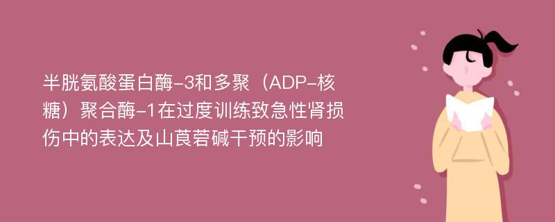 半胱氨酸蛋白酶-3和多聚（ADP-核糖）聚合酶-1在过度训练致急性肾损伤中的表达及山莨菪碱干预的影响