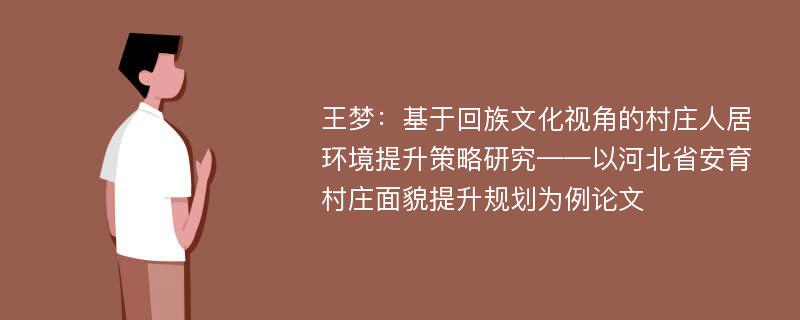 王梦：基于回族文化视角的村庄人居环境提升策略研究——以河北省安育村庄面貌提升规划为例论文