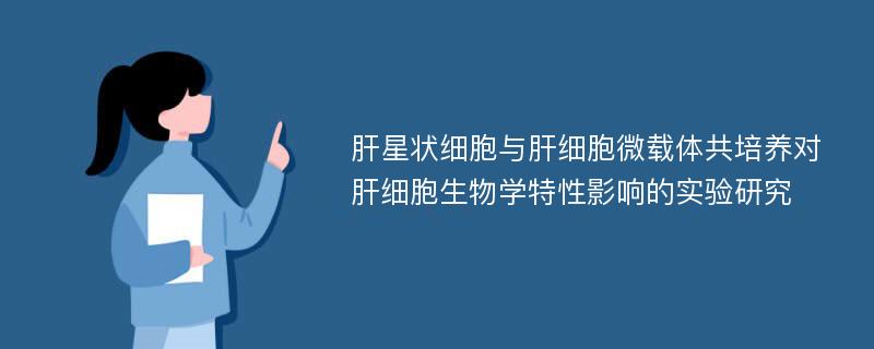 肝星状细胞与肝细胞微载体共培养对肝细胞生物学特性影响的实验研究