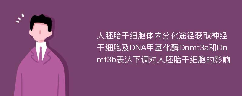 人胚胎干细胞体内分化途径获取神经干细胞及DNA甲基化酶Dnmt3a和Dnmt3b表达下调对人胚胎干细胞的影响