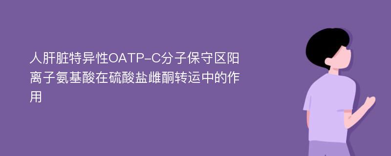 人肝脏特异性OATP-C分子保守区阳离子氨基酸在硫酸盐雌酮转运中的作用