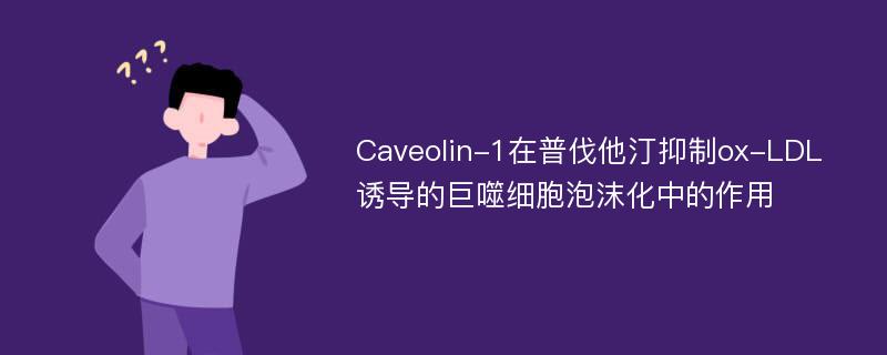 Caveolin-1在普伐他汀抑制ox-LDL诱导的巨噬细胞泡沫化中的作用