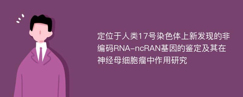 定位于人类17号染色体上新发现的非编码RNA-ncRAN基因的鉴定及其在神经母细胞瘤中作用研究