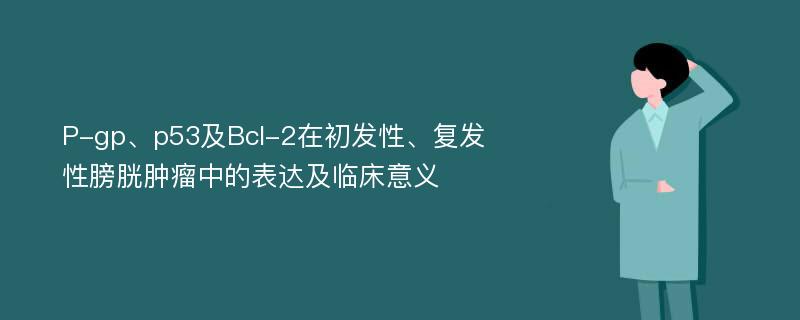 P-gp、p53及Bcl-2在初发性、复发性膀胱肿瘤中的表达及临床意义