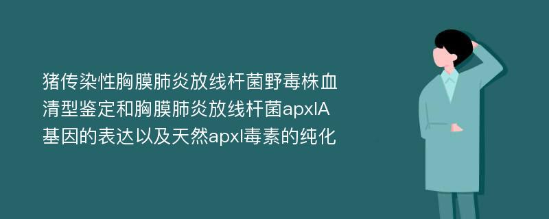 猪传染性胸膜肺炎放线杆菌野毒株血清型鉴定和胸膜肺炎放线杆菌apxIA基因的表达以及天然apxI毒素的纯化