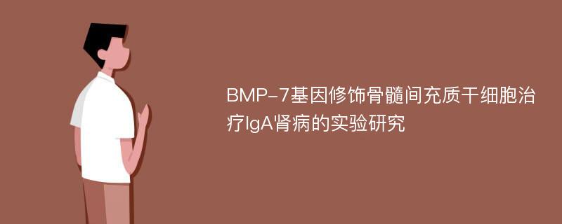 BMP-7基因修饰骨髓间充质干细胞治疗IgA肾病的实验研究