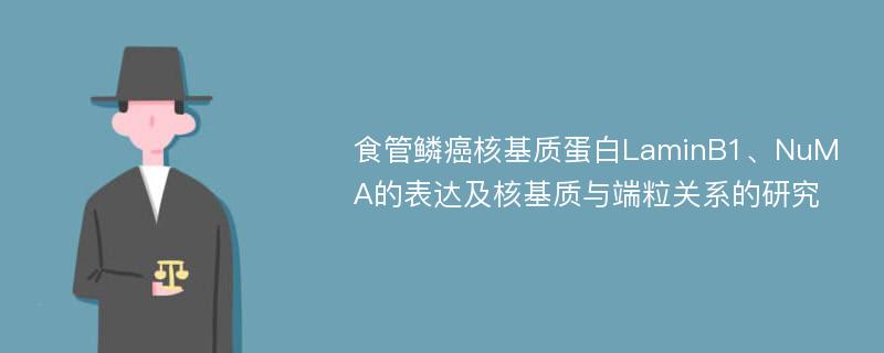 食管鳞癌核基质蛋白LaminB1、NuMA的表达及核基质与端粒关系的研究