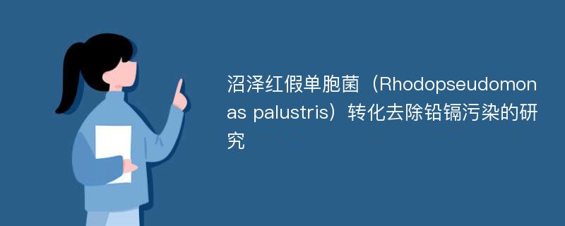 沼泽红假单胞菌（Rhodopseudomonas palustris）转化去除铅镉污染的研究