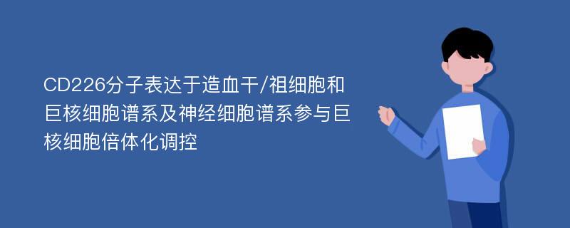 CD226分子表达于造血干/祖细胞和巨核细胞谱系及神经细胞谱系参与巨核细胞倍体化调控