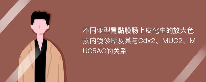 不同亚型胃黏膜肠上皮化生的放大色素内镜诊断及其与Cdx2、MUC2、MUC5AC的关系