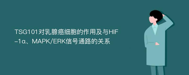 TSG101对乳腺癌细胞的作用及与HIF-1α、MAPK/ERK信号通路的关系