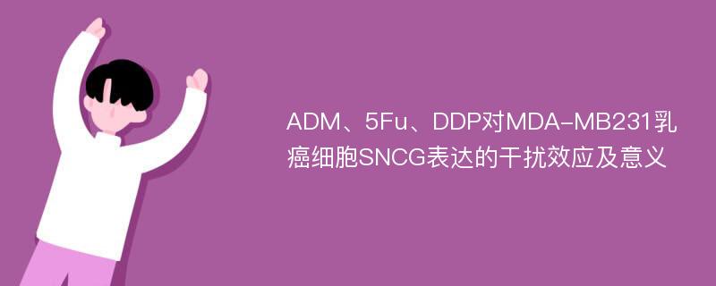 ADM、5Fu、DDP对MDA-MB231乳癌细胞SNCG表达的干扰效应及意义