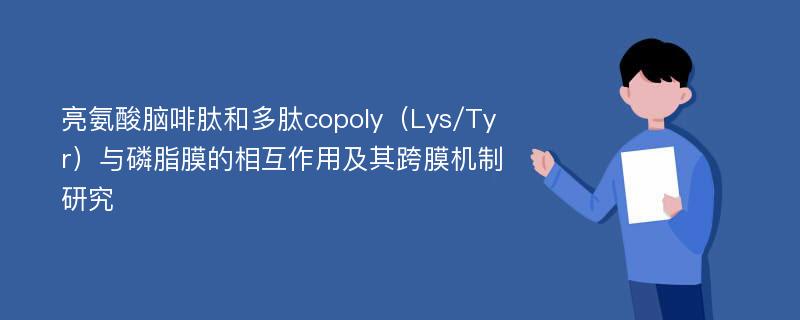 亮氨酸脑啡肽和多肽copoly（Lys/Tyr）与磷脂膜的相互作用及其跨膜机制研究