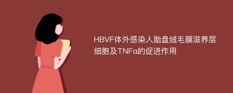 HBVF体外感染人胎盘绒毛膜滋养层细胞及TNFα的促进作用