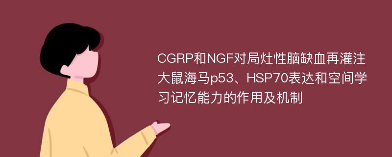 CGRP和NGF对局灶性脑缺血再灌注大鼠海马p53、HSP70表达和空间学习记忆能力的作用及机制