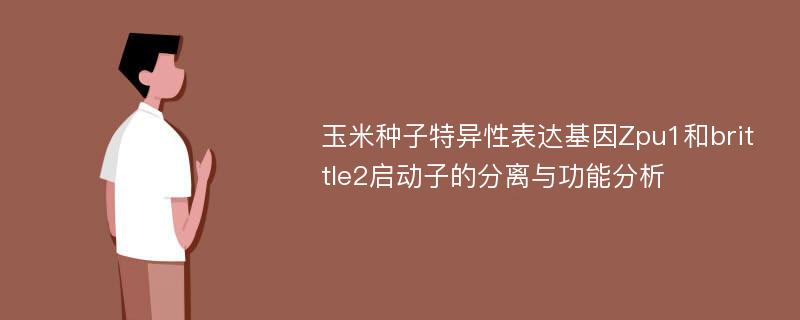 玉米种子特异性表达基因Zpu1和brittle2启动子的分离与功能分析