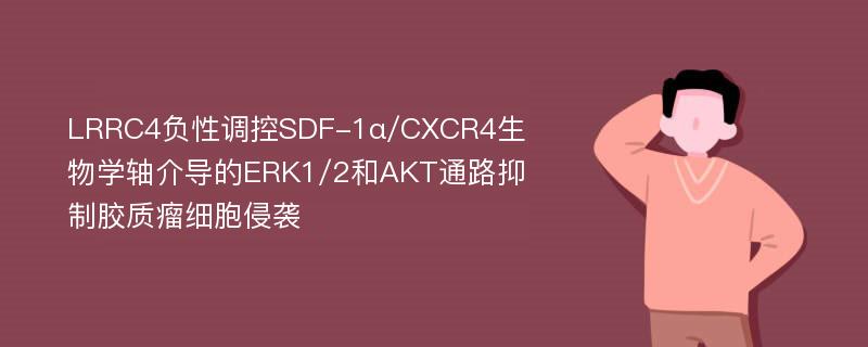 LRRC4负性调控SDF-1α/CXCR4生物学轴介导的ERK1/2和AKT通路抑制胶质瘤细胞侵袭