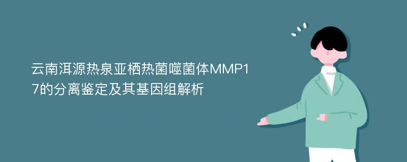 云南洱源热泉亚栖热菌噬菌体MMP17的分离鉴定及其基因组解析