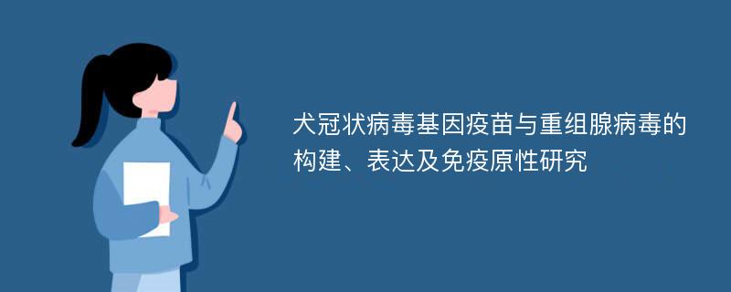 犬冠状病毒基因疫苗与重组腺病毒的构建、表达及免疫原性研究