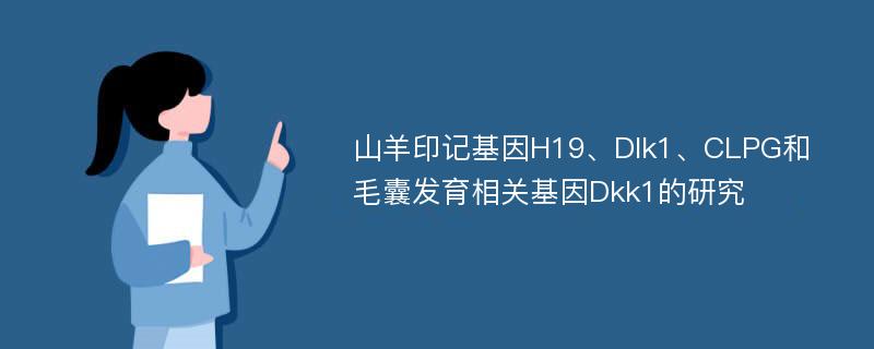 山羊印记基因H19、Dlk1、CLPG和毛囊发育相关基因Dkk1的研究