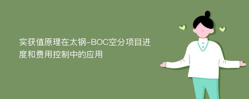 实获值原理在太钢-BOC空分项目进度和费用控制中的应用