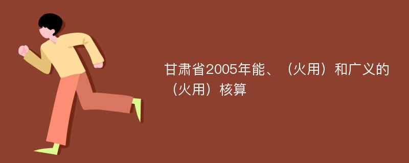 甘肃省2005年能、（火用）和广义的（火用）核算