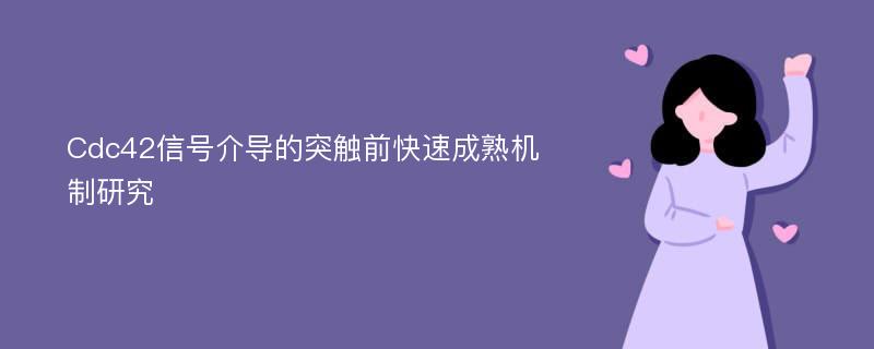 Cdc42信号介导的突触前快速成熟机制研究