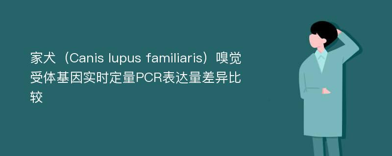 家犬（Canis lupus familiaris）嗅觉受体基因实时定量PCR表达量差异比较