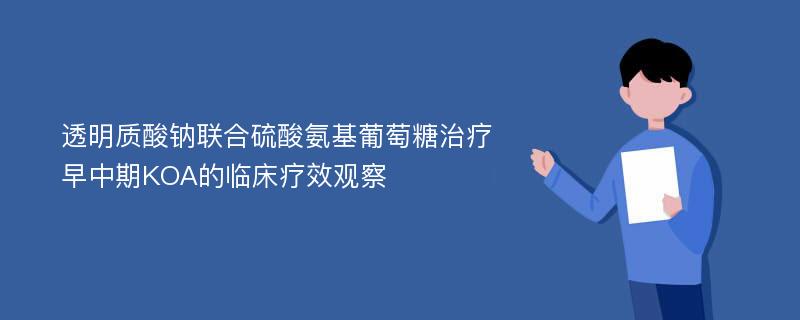 透明质酸钠联合硫酸氨基葡萄糖治疗早中期KOA的临床疗效观察