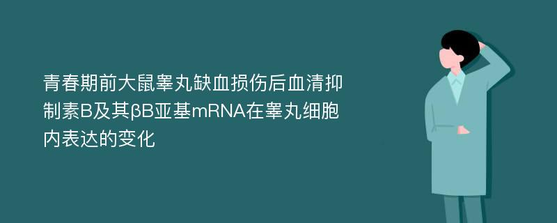 青春期前大鼠睾丸缺血损伤后血清抑制素B及其βB亚基mRNA在睾丸细胞内表达的变化