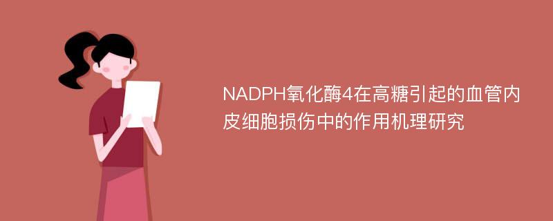 NADPH氧化酶4在高糖引起的血管内皮细胞损伤中的作用机理研究