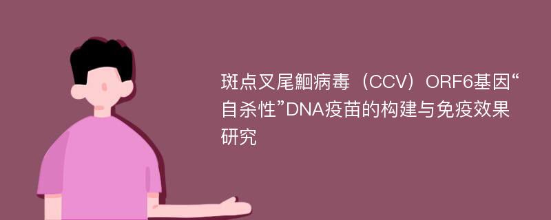 斑点叉尾鮰病毒（CCV）ORF6基因“自杀性”DNA疫苗的构建与免疫效果研究