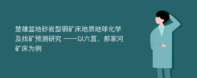 楚雄盆地砂岩型铜矿床地质地球化学及找矿预测研究 ——以六苴、郝家河矿床为例